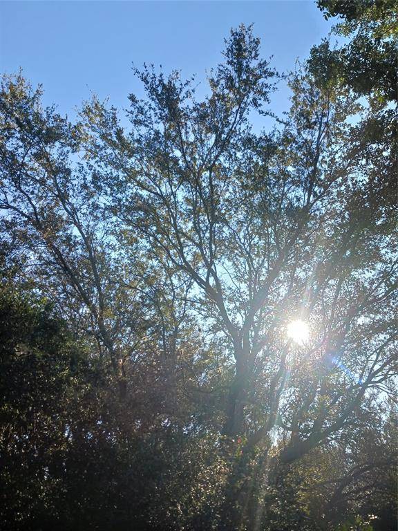 127 ORCHARD AVENUE, Other City - In The State Of Florida, FL 32178