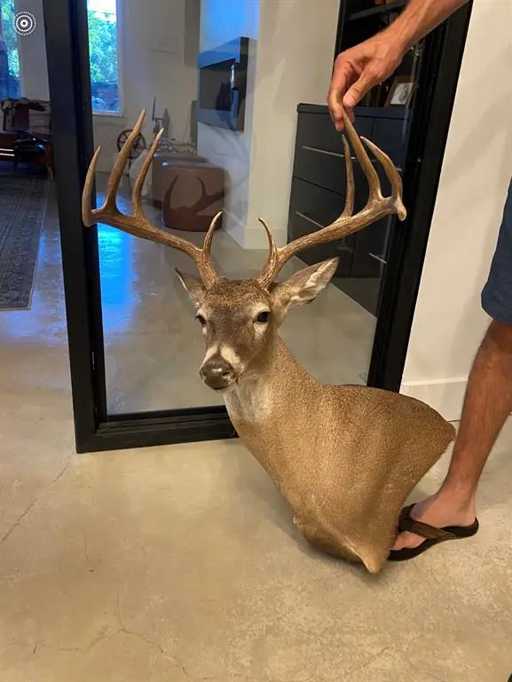 Franklin, TX 77856,70+/- Acres Turner