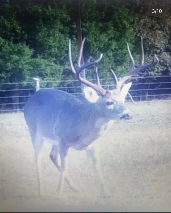 Franklin, TX 77856,90+/- Acres Turner