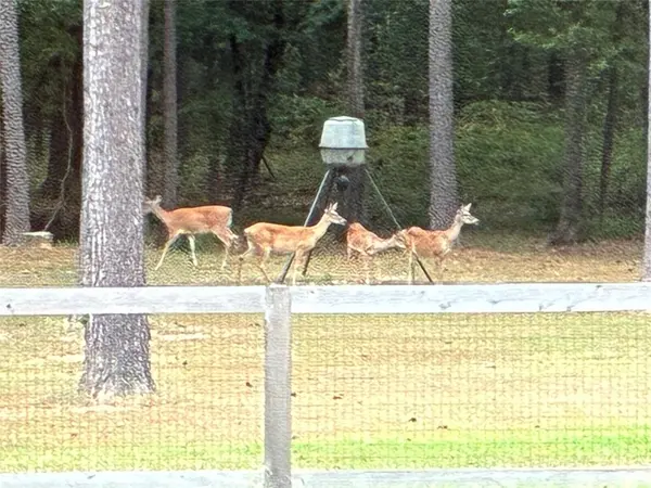 Benton, LA 71006,145 Crouch Road