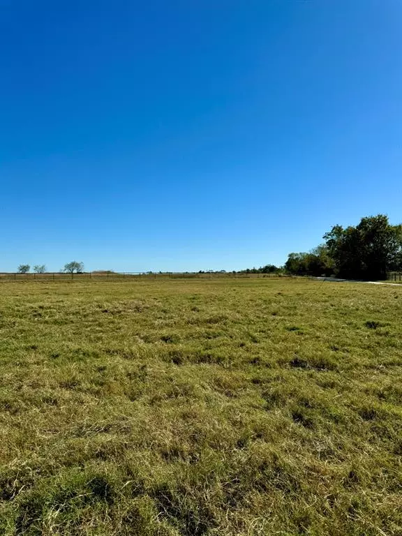 Franklin, TX 77856,165 Ac Turner Lane