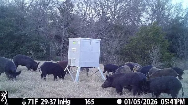 Franklin, TX 77856,165 Ac Turner Lane