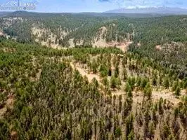 Florissant, CO 80816,93 Kiowa Creek TRL