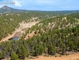 Florissant, CO 80816,93 Kiowa Creek TRL