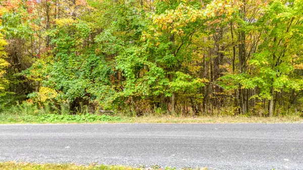 Mississippi Mills, ON K0A 1A0,Lot 132 Ramsay Con 3C RD