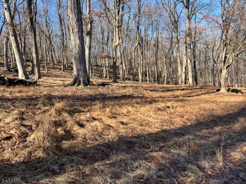 North Caldwell Boro, NJ 07006,659 Mountain Ave