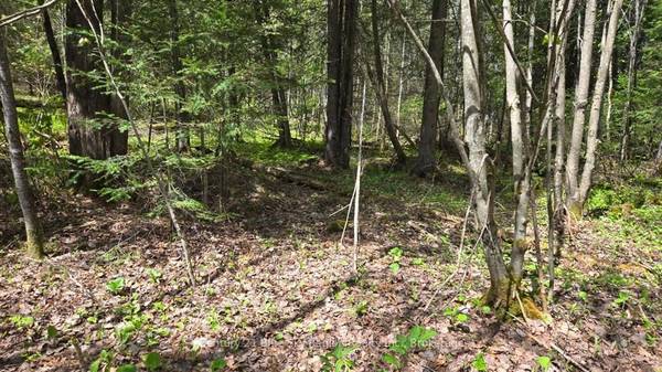 Pt Lt 10 Con 16 Village RD, Chisholm, ON P0H 1Z0