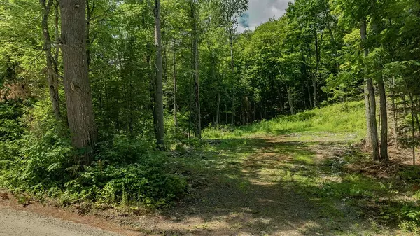 Lake Of Bays, ON P0B 1A0,0000 Ril lake RD S