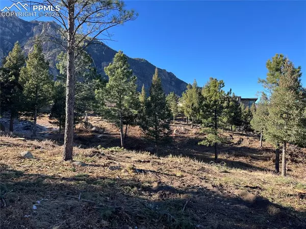 Colorado Springs, CO 80906,920 Grey Mountain PT