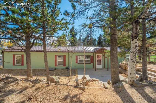 Woodland Park, CO 80863,56 Daisy ST