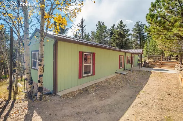 Woodland Park, CO 80863,56 Daisy ST