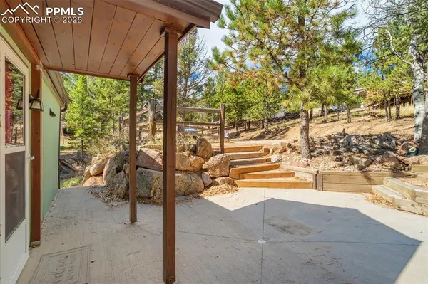 Woodland Park, CO 80863,56 Daisy ST