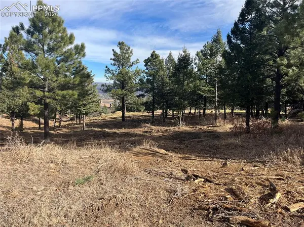 Colorado Springs, CO 80906,4875 Willow Stone HTS