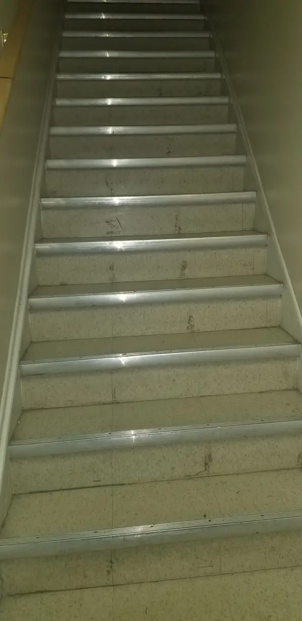 Toronto C01, ON M6H 1L7,959 Bloor ST W #2A