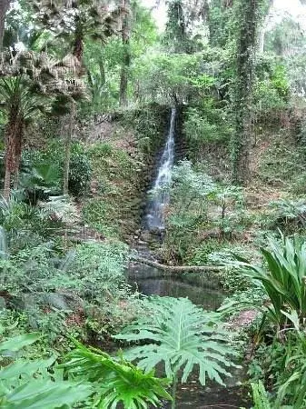 Ocala, FL 34481,lot1 SW 158th court