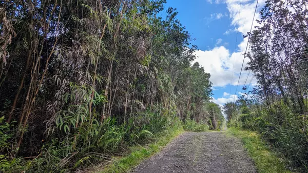 Mountain View, HI 96749,16-1395 ROAD 5 (UAU)