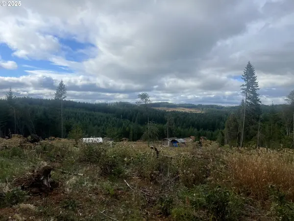 89975 SHEFFLER RD, Elmira, OR 97437