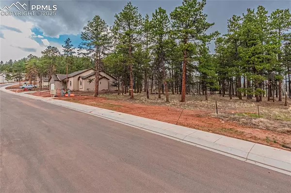 Woodland Park, CO 80863,1290 Firestone DR