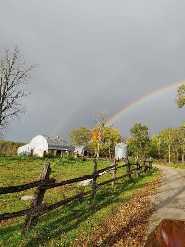 1579 Wainman Line, Severn, ON L0K 1E0