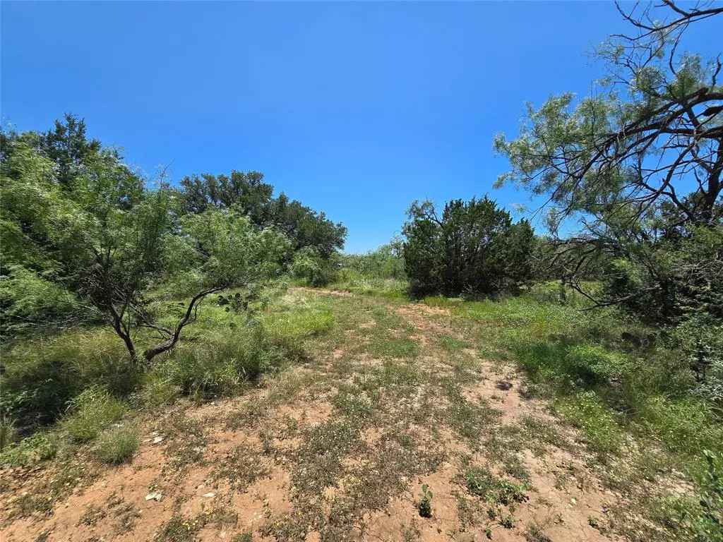 Brookesmith, TX 76827,18200 County Road 225