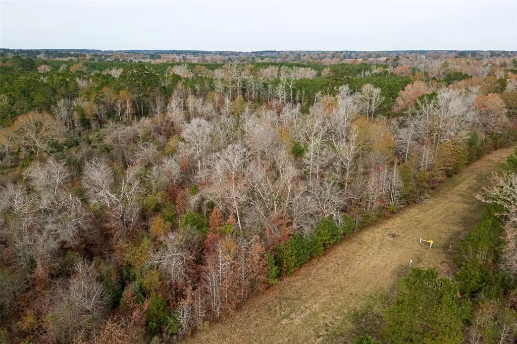 Nacogdoches, TX 75964,00 State Highway 204