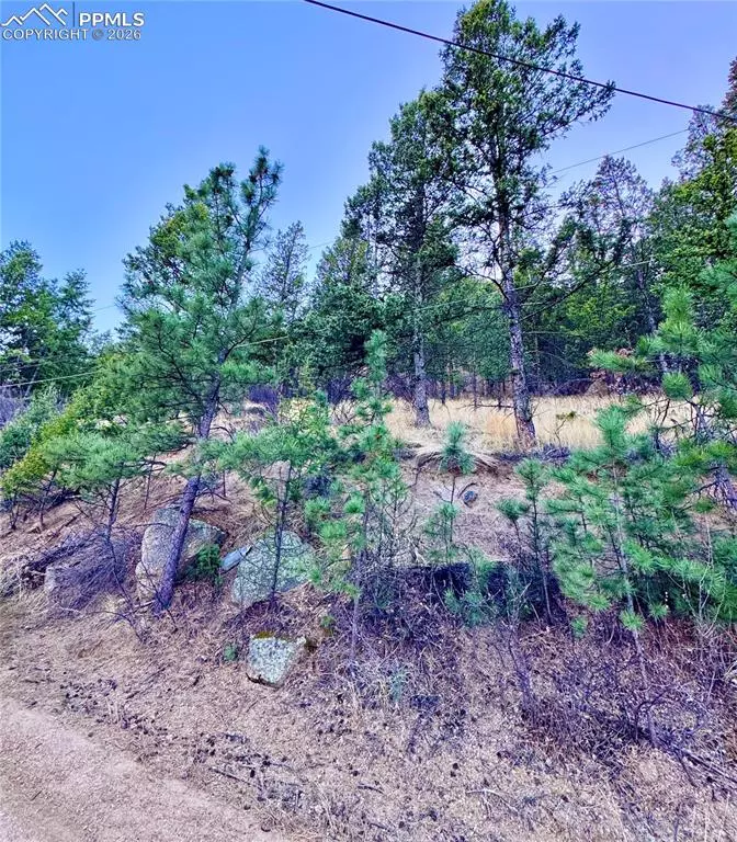 Green Mountain Falls, CO 80819,Lot 13 Harrison ST
