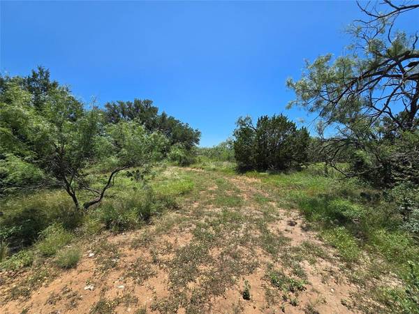 18200 County Road 225, Brookesmith, TX 76827