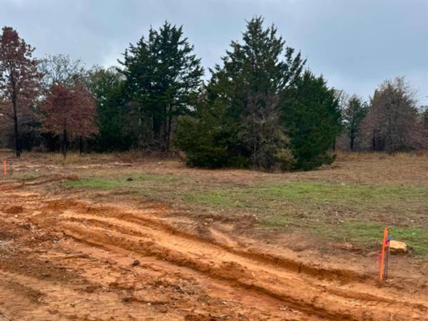 Lot 1 Rock Creek West Boulevard, Whitesboro, TX 76273