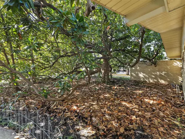 Mckinney, TX 75069,1102 N Graves Street