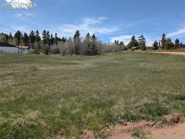 Divide, CO 80814,Lot83 + 84 Fountain Dale LN
