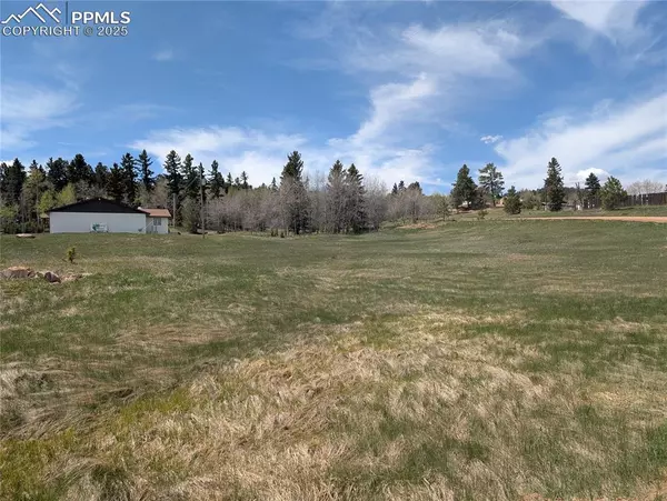Divide, CO 80814,Lot81 + 82 Fountain Dale LN