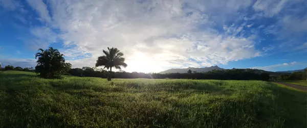Kilauea, HI 96722,5835 KAHILIHOLO RD #4