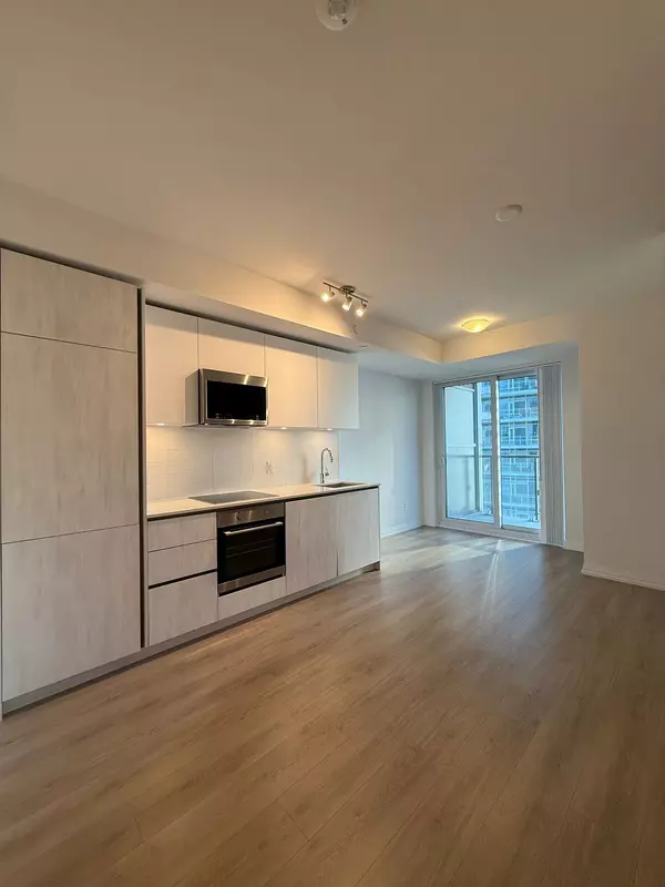 Toronto C01, ON M5V 0W6,8 Widmer ST #3109