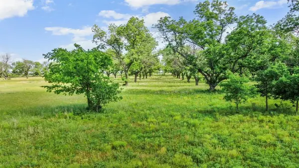 Gorman, TX 76454,179 COUNTY ROAD 348