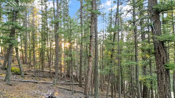 Cripple Creek, CO 80813,1289 Yorktown RD