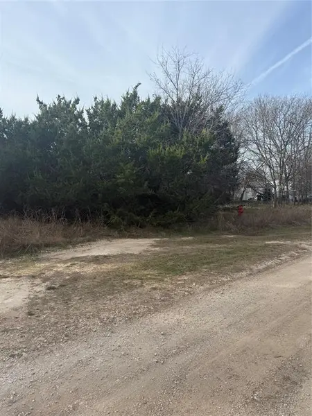 58 Bramble Bush Drive, Morgans Point Resort, TX 76513