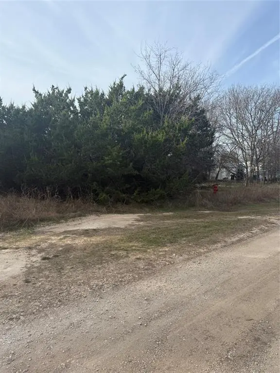 Morgans Point Resort, TX 76513,58 Bramble Bush Drive