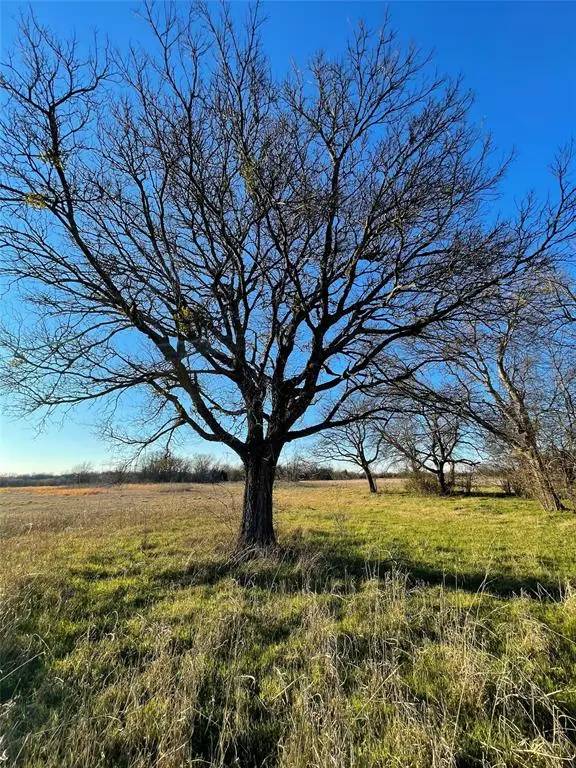 Celeste, TX 75423,0 County Rd 1110