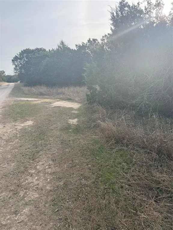 Morgans Point Resort, TX 76513,58 Bramble Bush Drive