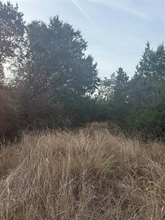 Morgans Point Resort, TX 76513,58 Bramble Bush Drive