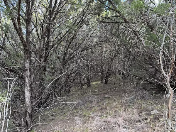 Graford, TX 76449,1070 Enchanted Rock Court