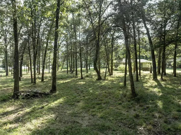 Murchison, TX 75778,tbd Callender Lake Drive