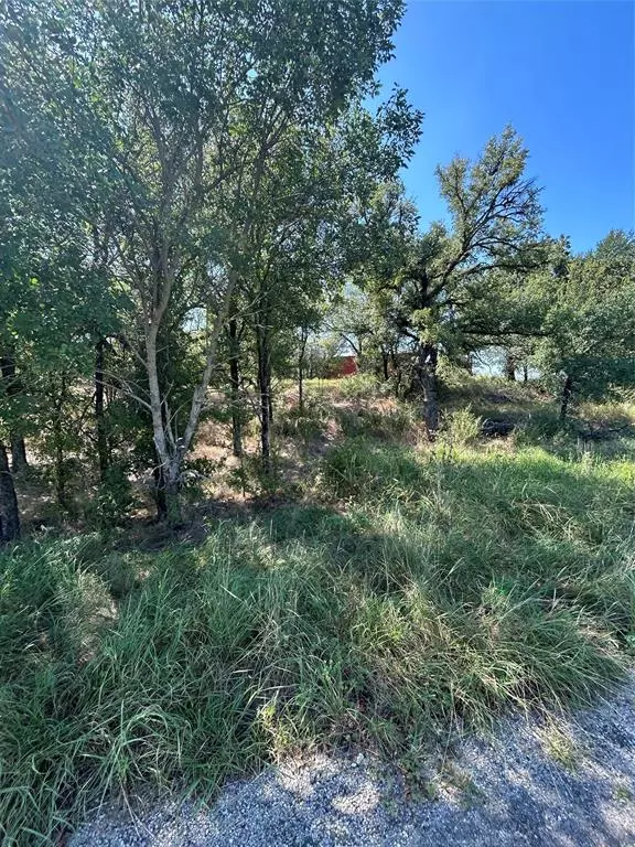 Mineral Wells, TX 76067,TBD Sam Houston Street