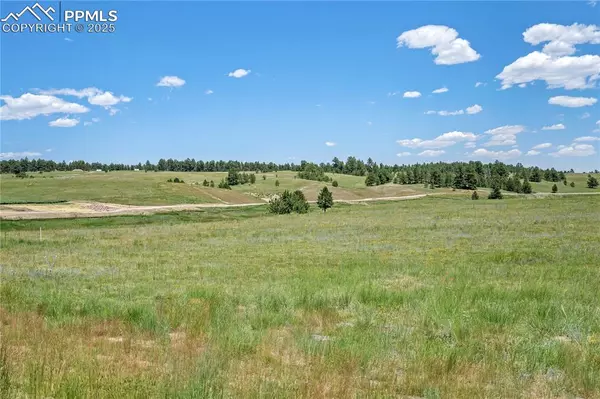 Colorado Springs, CO 80908,11010 Alamar WAY