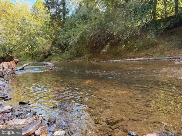 0 Coleman Mountain RD, Appomattox, VA 24522