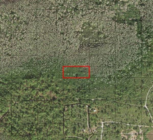 0 HOLOPAW GROVES RD, St. Cloud, FL 34772