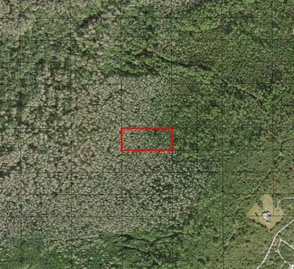 0 HOLOPAW GROVES RD, St. Cloud, FL 34772