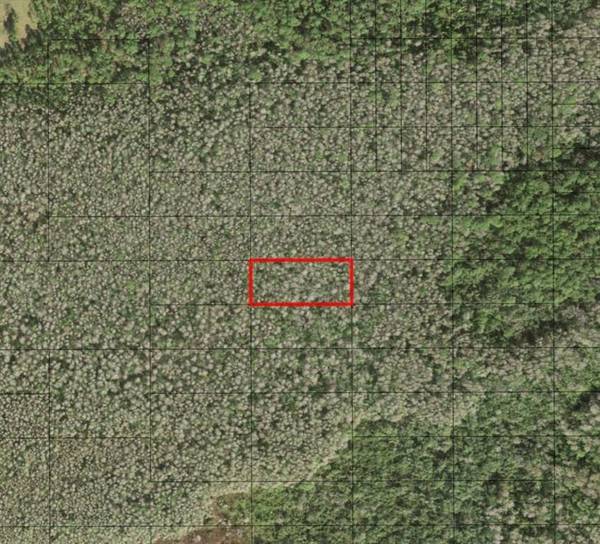 0 HOLOPAW GROVES RD, St. Cloud, FL 34772