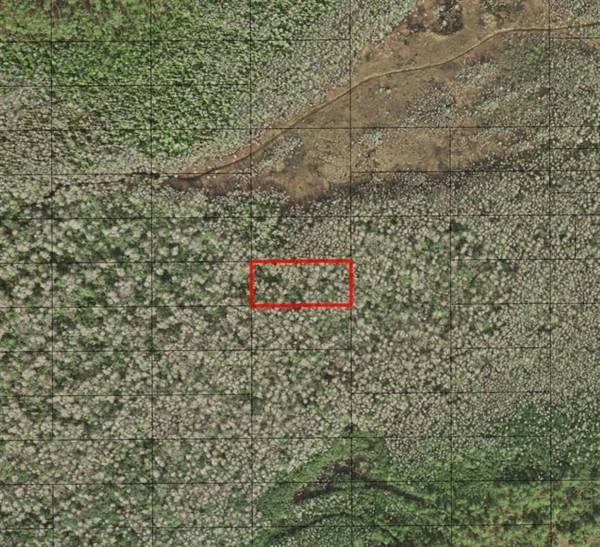 0 HOLOPAW GROVES RD, St. Cloud, FL 34772