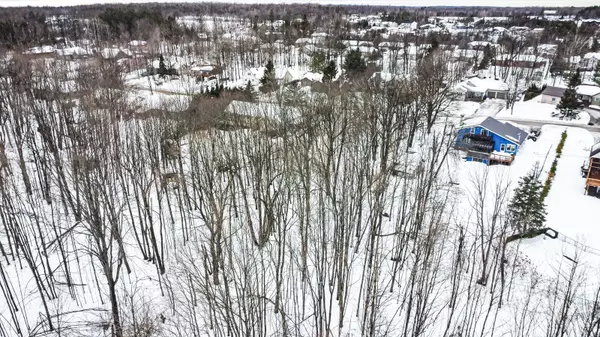 Oro-medonte, ON L0K 1N0,17 Valleyview DR